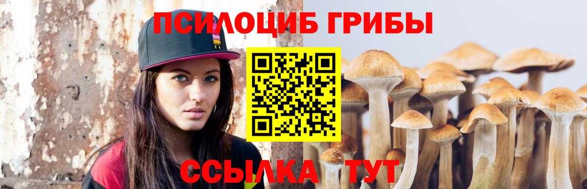 Галлюциногенные грибы GOLDEN TEACHER  Вход с VPN  Ивантеевка  Галлюциногенные грибы мицелий 